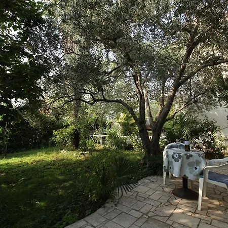 Gianna 2, 600 M From The Lejlighed Novigrad Istria