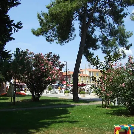 Gianna 2, 600 M From The Novigrad Istria