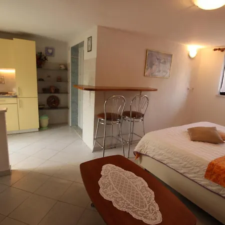 Gianna 2, 600 M From The Apartament Novigrad (Istria)