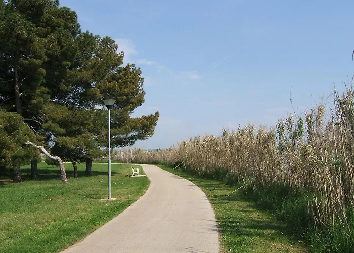 Gianna 2, 600 M From The *