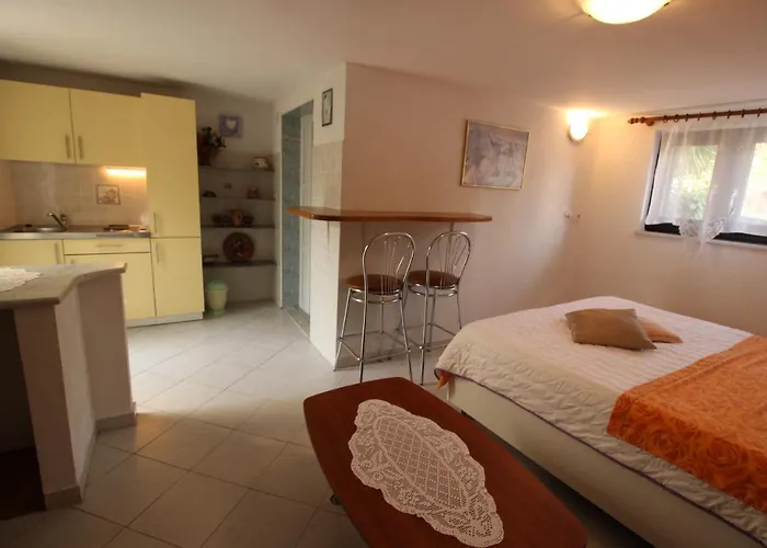 Gianna 2, 600 M From The Lejlighed Novigrad Istria