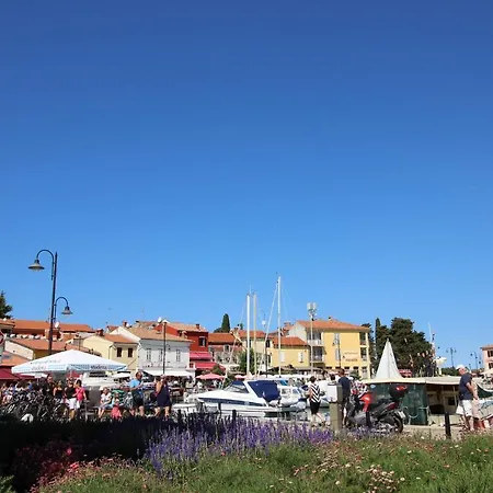 Gianna 2, 600 M From The 公寓