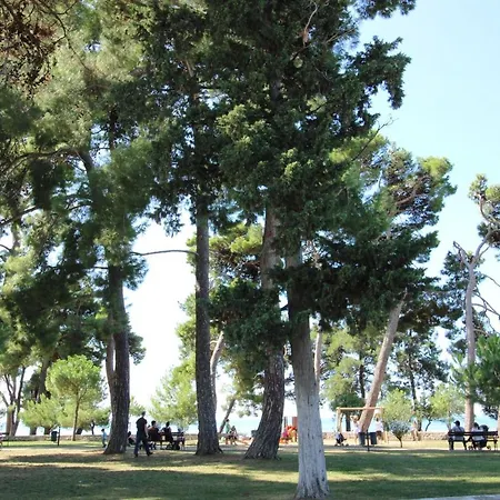 Gianna 2, 600 M From The * Novigrad Istria