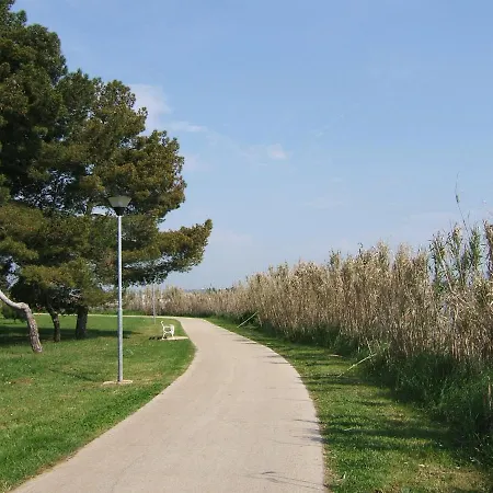 Gianna 2, 600 M From The *